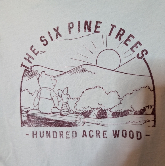 Disney Winnie the Pooh Graphic Tee Short Sleeve T-Shirt Sz M - Picture 3 of 11